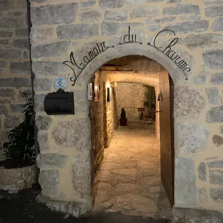 Manoir Du Charme Dans Les Gorges Du Tarn Lozere Bed & Breakfast Quezac  Exterior photo