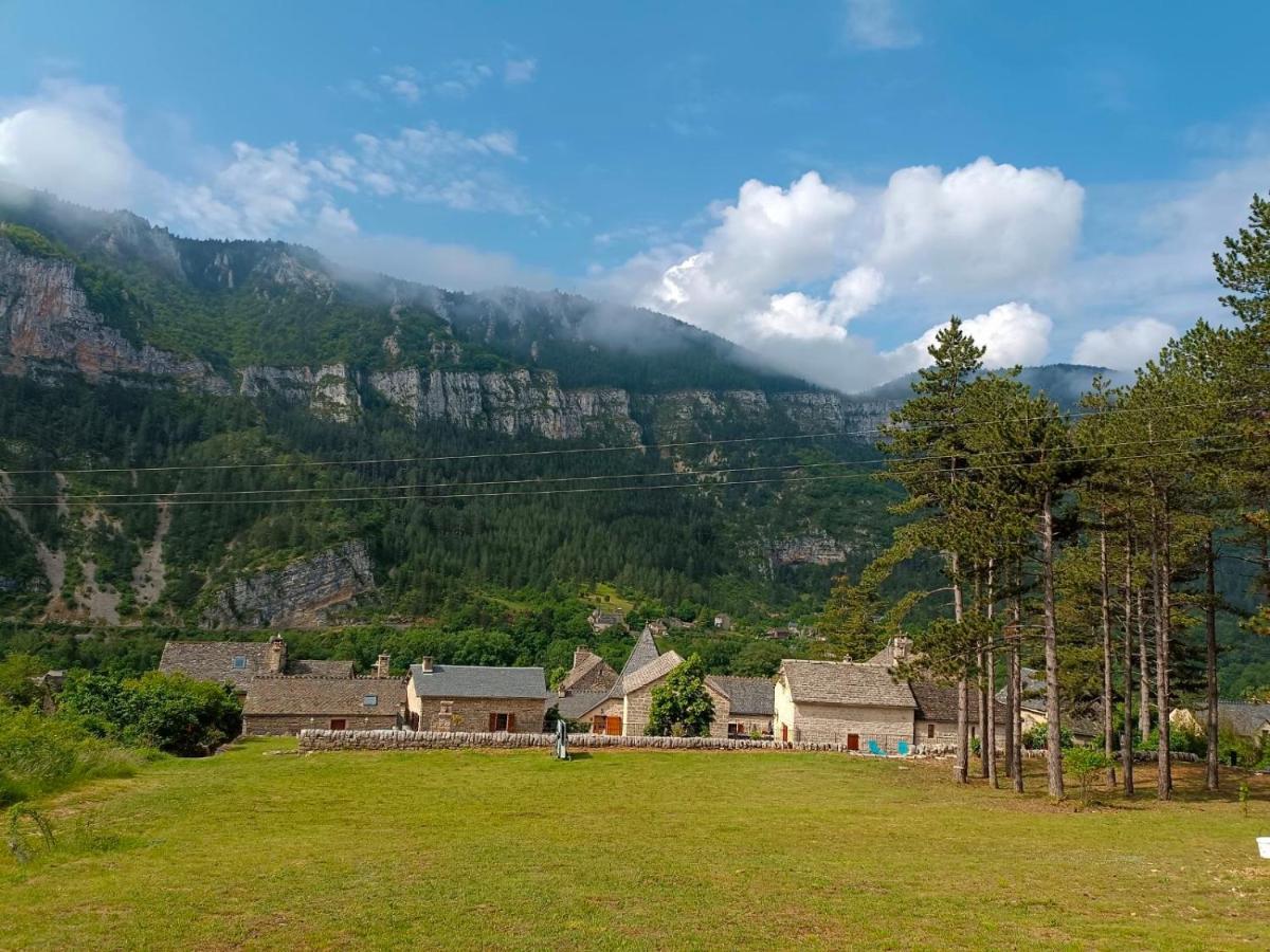 Frühstückspension Manoir Du Charme Dans Les Gorges Du Tarn Lozere